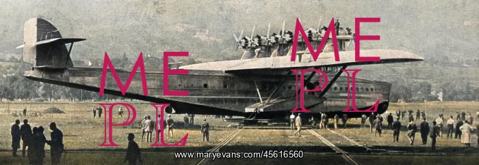  : Dornier Do-X Photo 2