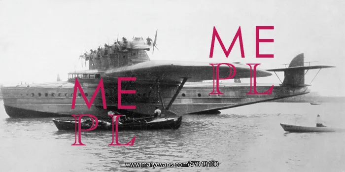 : DORNIER DO-X PHOTO 6 : DORNIER DO-X PHOTO 6