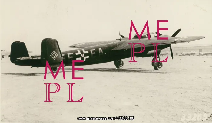  : Dornier Do217