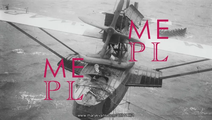 : Dornier Wal flying boat, 1929 : Dornier Wal flying boat, 1929