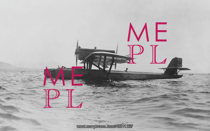 : Dornier Wal flying boat, 1929 : Dornier Wal flying boat, 1929