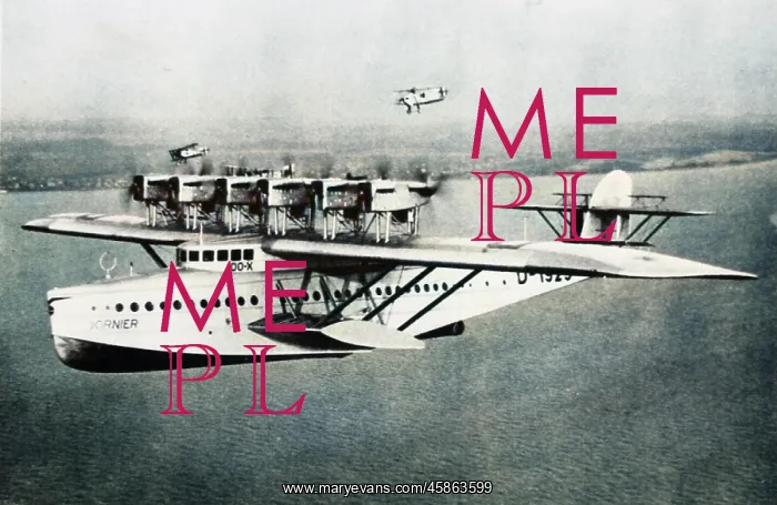 : Dornier Do X (forward view) aloft with escorts : Dornier Do X (forward view) aloft with escorts