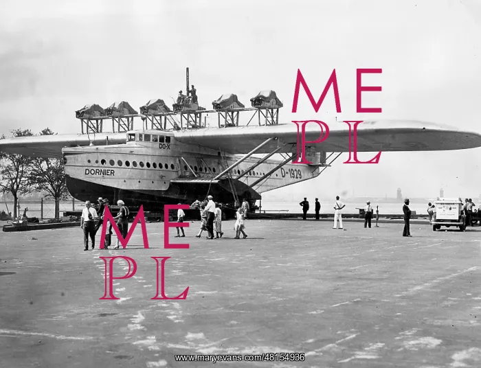 : Dornier Do X in New York, 1931 : Dornier Do X in New York, 1931