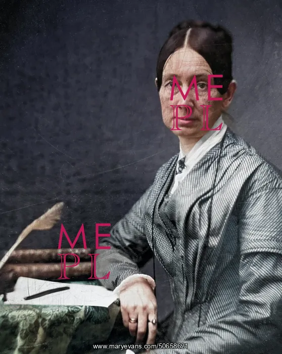 : Dorothea Dix, Mental Asylum Activist : Dorothea Dix, Mental Asylum Activist