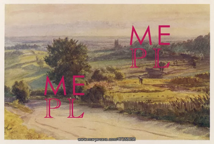 : Dorset - Blackmore Vale : Dorset - Blackmore Vale