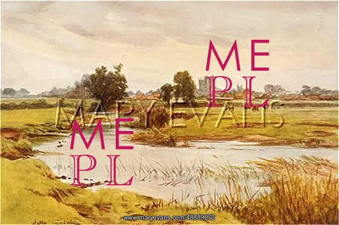  : DORSET / STOUR / WIMBORNE
