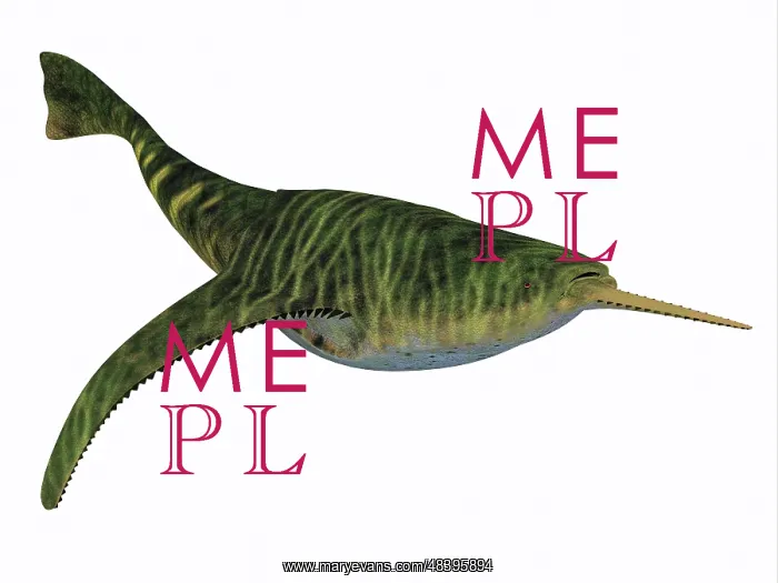 : Doryaspis is an extinct genus of primitive jawless fish : Doryaspis is an extinct genus of primitive jawless fish