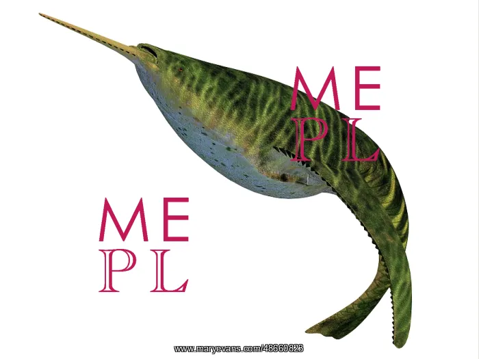 : Doryaspis fish, side profile : Doryaspis fish, side profile