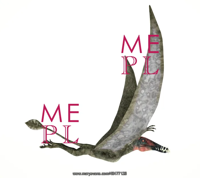 : Dorygnathus flying dinosaur : Dorygnathus flying dinosaur