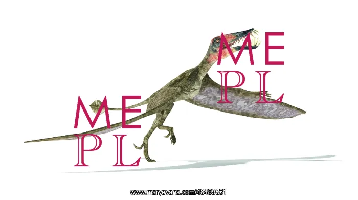 : Dorygnathus flying dinosaur : Dorygnathus flying dinosaur