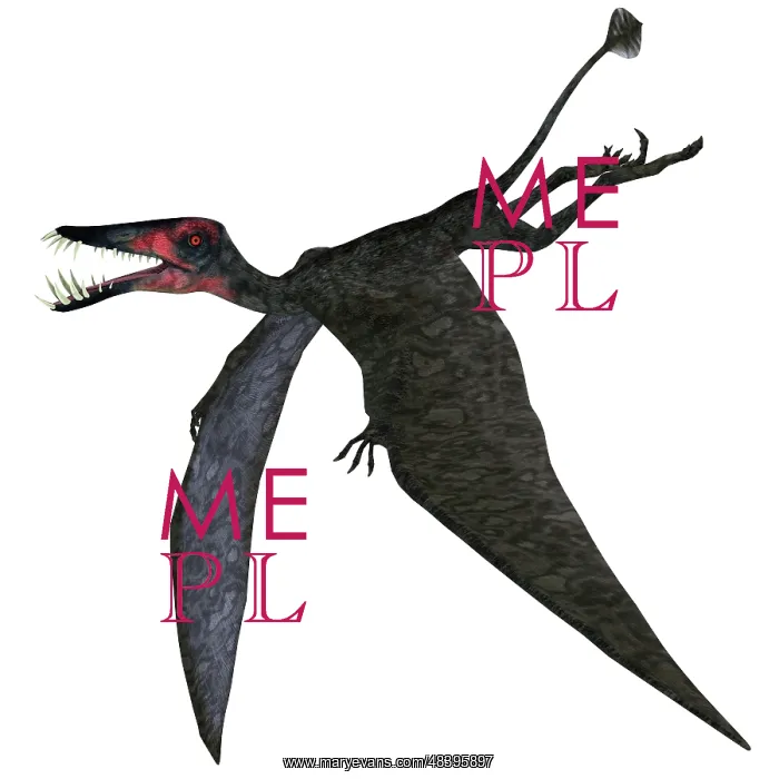 : Dorygnathus, a genus of pterosaur from the Jurassic Period : Dorygnathus, a genus of pterosaur from the Jurassic Period