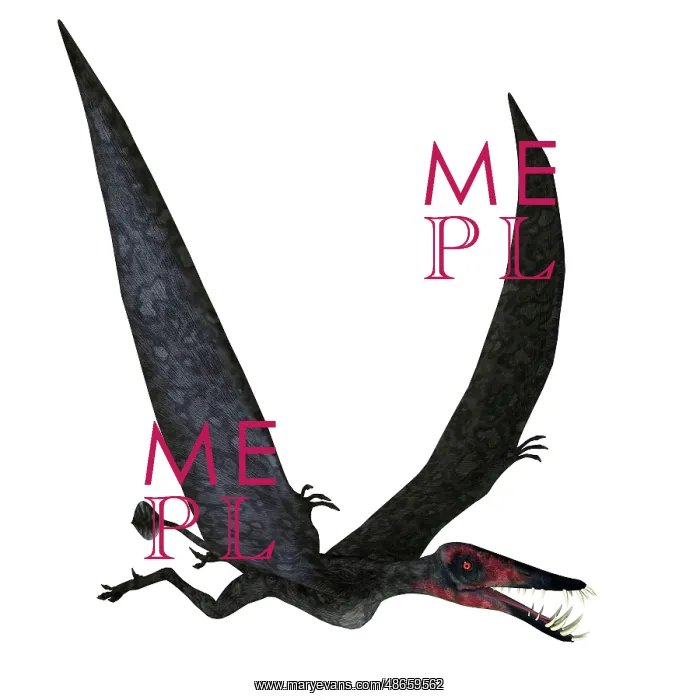 : Dorygnathus pterosaur in flight : Dorygnathus pterosaur in flight