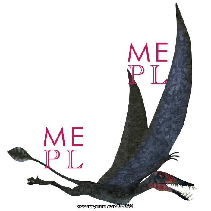 : Dorygnathus pterosaur from the Jurassic Period : Dorygnathus pterosaur from the Jurassic Period