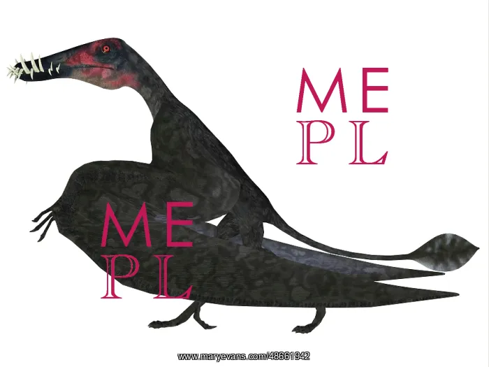 : Dorygnathus pterosaur, side profile : Dorygnathus pterosaur, side profile