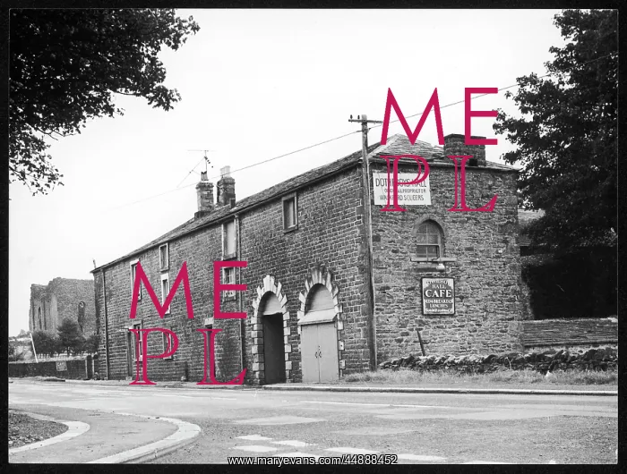 : DOTHEBOY'S HALL : DOTHEBOY'S HALL
