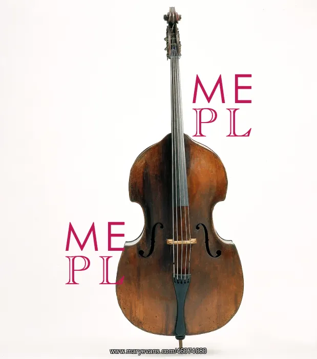 : Double Bass : Double Bass