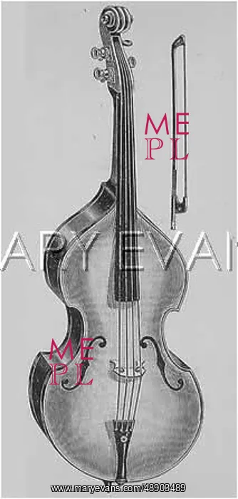: DOUBLE BASS ON ITS OWN : DOUBLE BASS ON ITS OWN