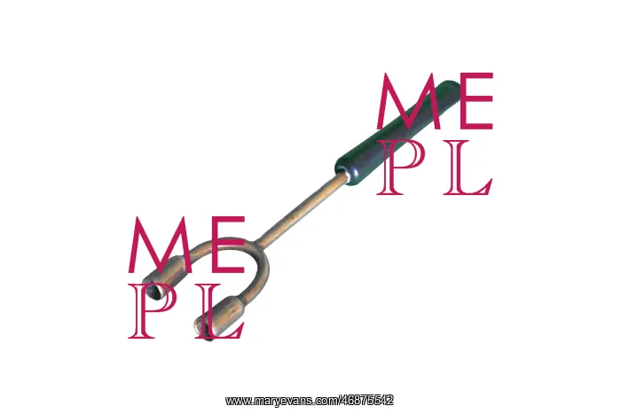 : Double Cigarette Holder : Double Cigarette Holder