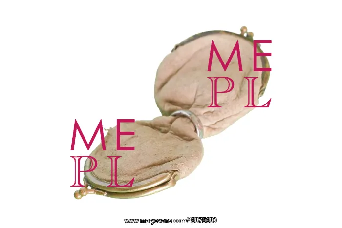 : Double coin purse : Double coin purse