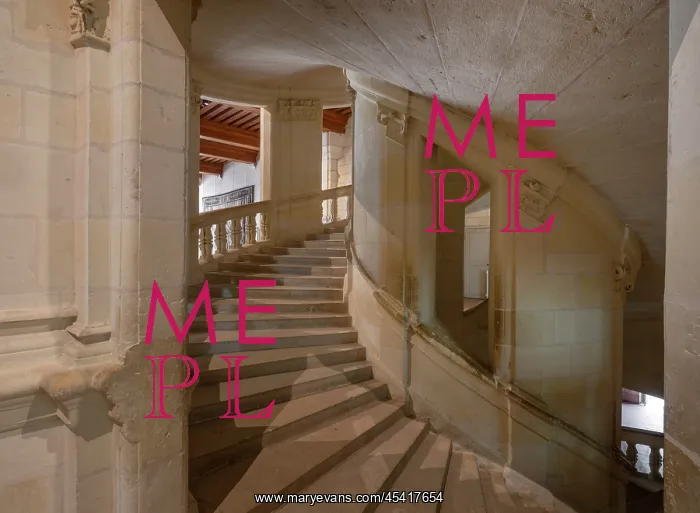 : Double helix staircase, Chateau de Chambord : Double helix staircase, Chateau de Chambord