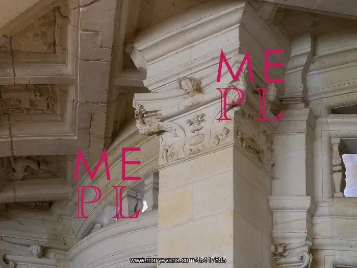 : Double helix staircase, Chateau de Chambord : Double helix staircase, Chateau de Chambord
