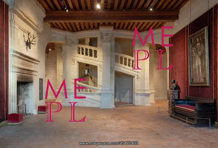 : Double helix staircase, Chateau de Chambord : Double helix staircase, Chateau de Chambord