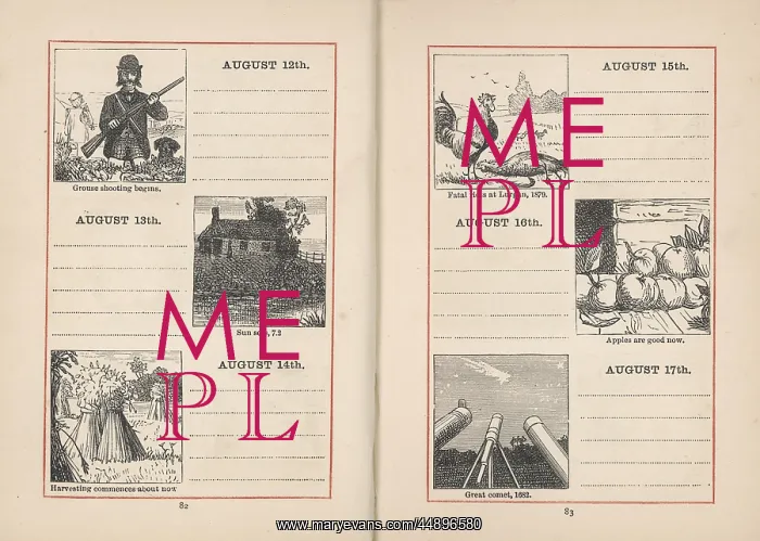 : Double page spread in a diary for 12-17 August : Double page spread in a diary for 12-17 August
