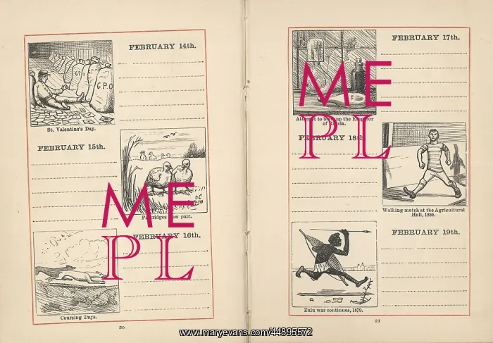 : Double page spread in a diary for 14-19 February : Double page spread in a diary for 14-19 February