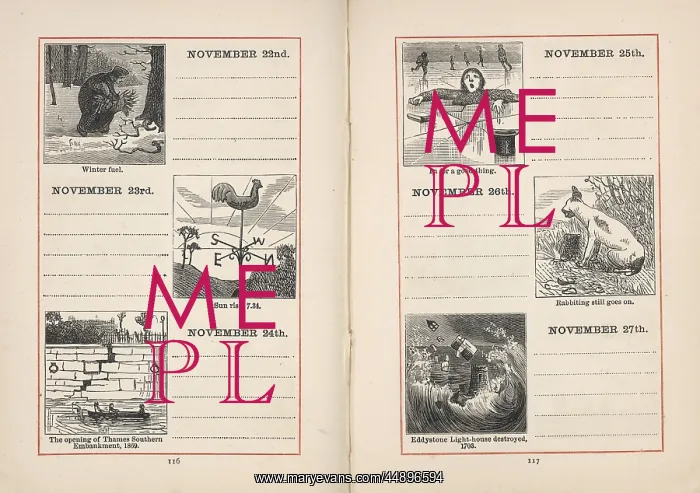 : Double page spread in a diary for 22-27 November : Double page spread in a diary for 22-27 November