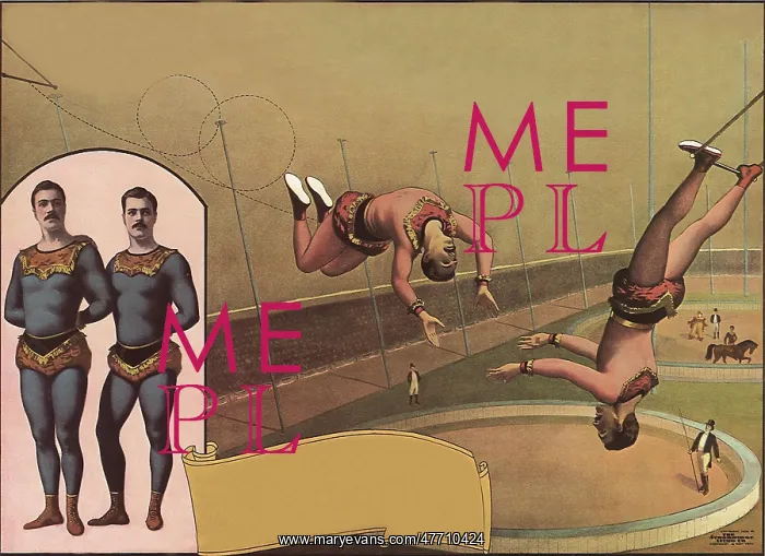 : Double Somersault : Double Somersault