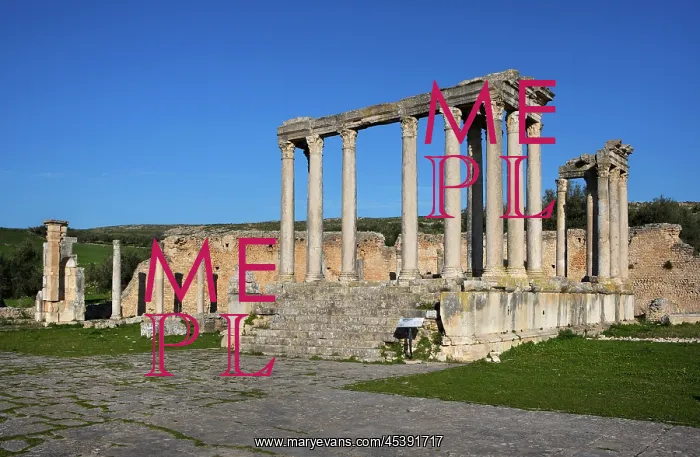  : Dougga. General view of the Temple of Juno Caelestis