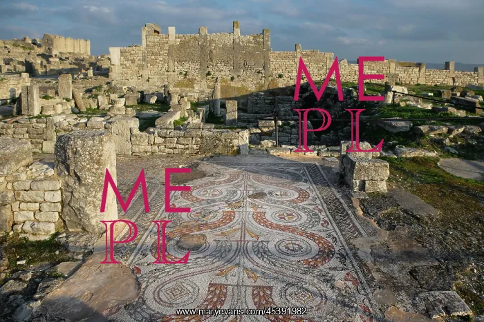: Dougga. High angle view of a mosaic floor in the House of Venus : Dougga. High angle view of a mosaic floor in the House of Venus