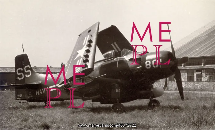 : Douglas AD-4N Skyraider, 124145, of the US Navy : Douglas AD-4N Skyraider, 124145, of the US Navy