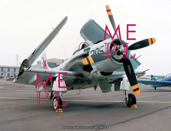 : Douglas AD-4N Skyraider F-AZDP : Douglas AD-4N Skyraider F-AZDP