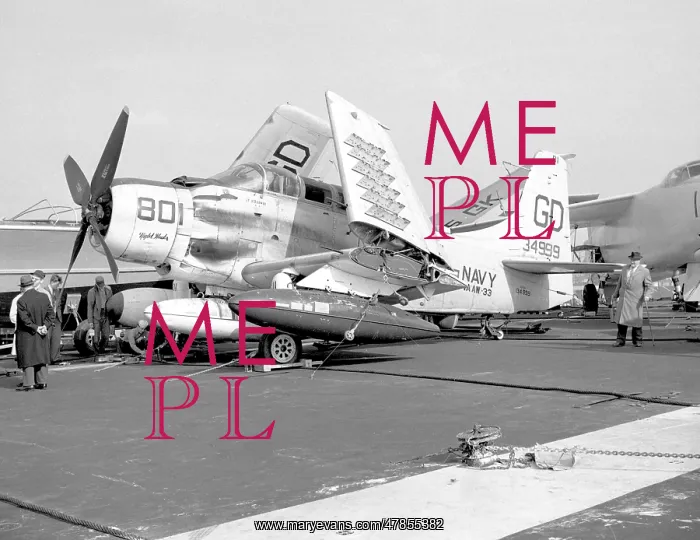 : Douglas AD-5N Skyraider 134999 : Douglas AD-5N Skyraider 134999