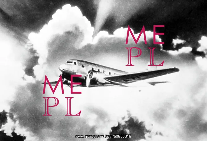  : A Douglas Airliner, probably DC3 in the 1930s