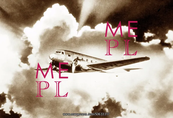  : A Douglas Airliner, probably DC3