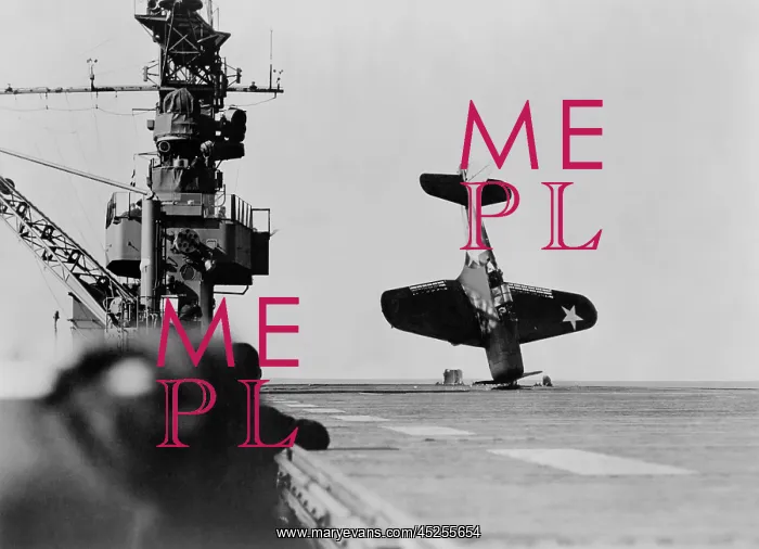: Douglas Dauntless dive bomber balanced on nose : Douglas Dauntless dive bomber balanced on nose