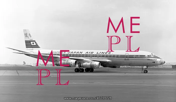 : Douglas DC-8-53 JA8103 Haruna : Douglas DC-8-53 JA8103 Haruna