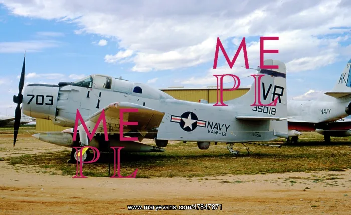 : Douglas EA-1F Skyraider 135018 : Douglas EA-1F Skyraider 135018