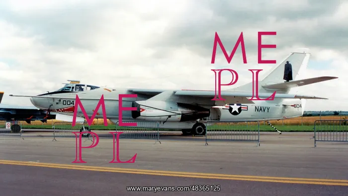 : Douglas EA-3B Skywarrior 146454 Killer Whale : Douglas EA-3B Skywarrior 146454 Killer Whale