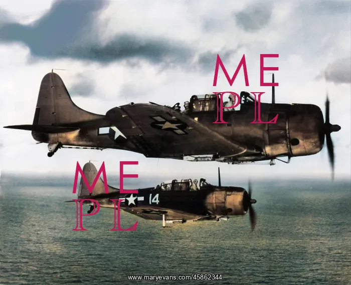: Douglas SBD-5 Dauntless pair over the Pacific, 26 June? : Douglas SBD-5 Dauntless pair over the Pacific, 26 June?