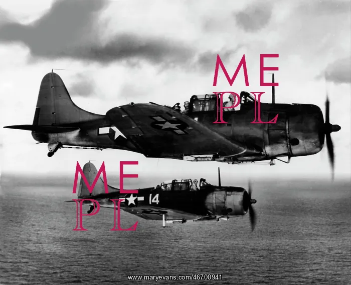 : Douglas SBD-5 Dauntless pair over the Pacific, 26 June : Douglas SBD-5 Dauntless pair over the Pacific, 26 June