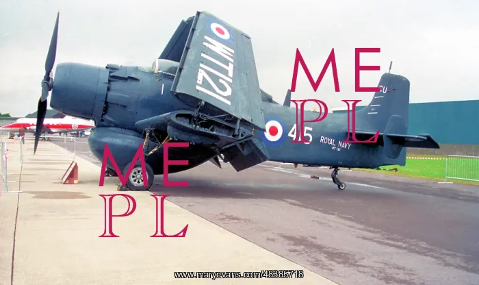 : Douglas Skyraider AEW.1 WT983 : Douglas Skyraider AEW.1 WT983