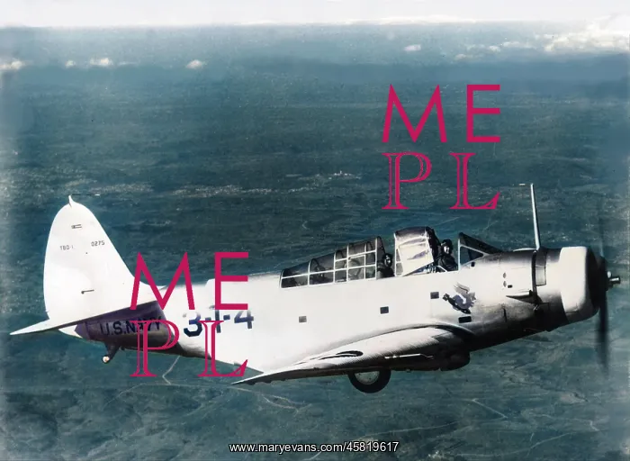 : Douglas TBD-1 Devastator -a pre war carrier-going torpe? : Douglas TBD-1 Devastator -a pre war carrier-going torpe?