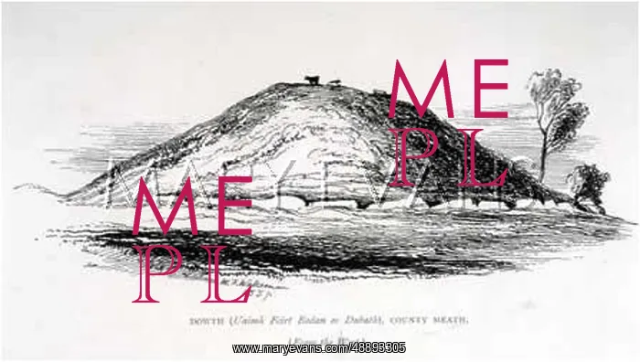 : DOUTH PASSAGE TOMB / EIRE : DOUTH PASSAGE TOMB / EIRE