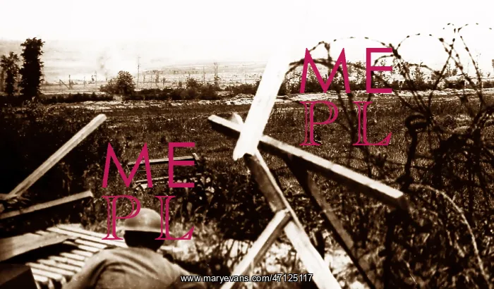  : Douve Valley, Messines, 8th June 1917