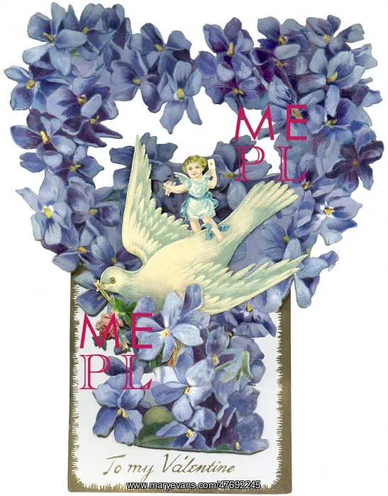  : Dove, Cherub and Lilac`