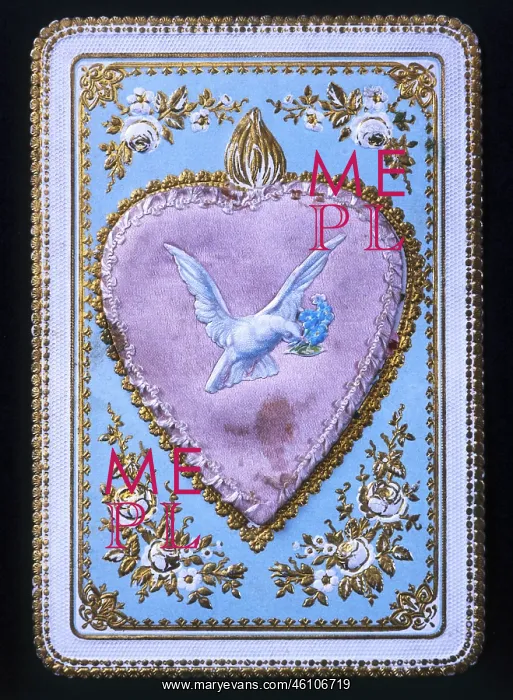 : Dove with forget-me-not on a hear : Dove with forget-me-not on a hear