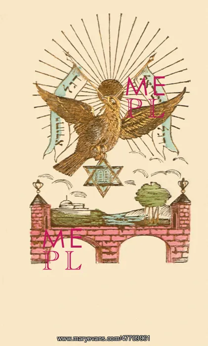  : Dove in Jerusalem